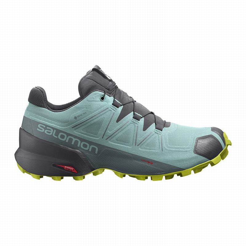 Salomon Singapore Womens Trail Running Shoes - SPEEDCROSS 5 GORE-TEX Turquoise/Dark Grey | 01732-HSW